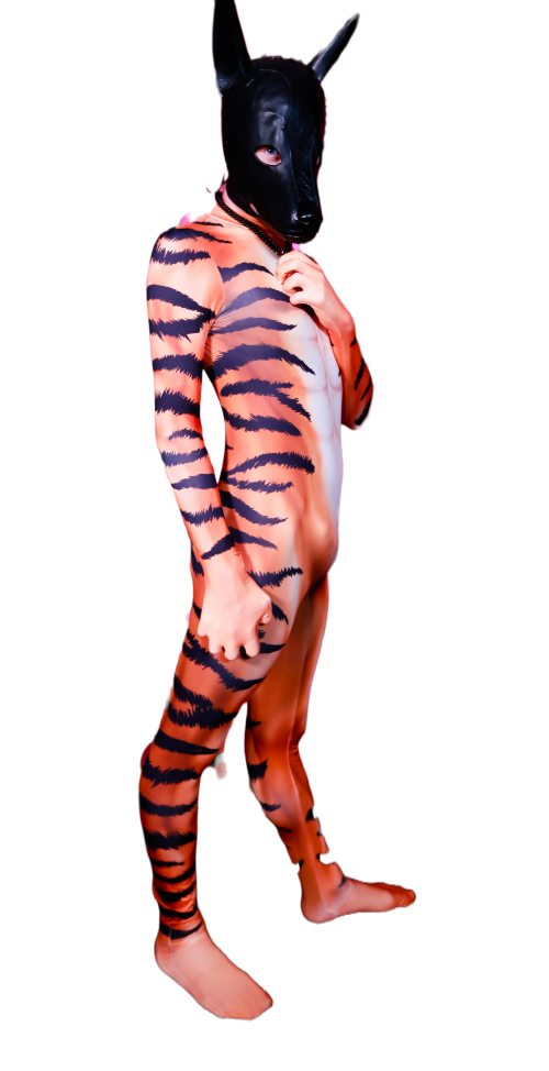 Tiger Petsuit