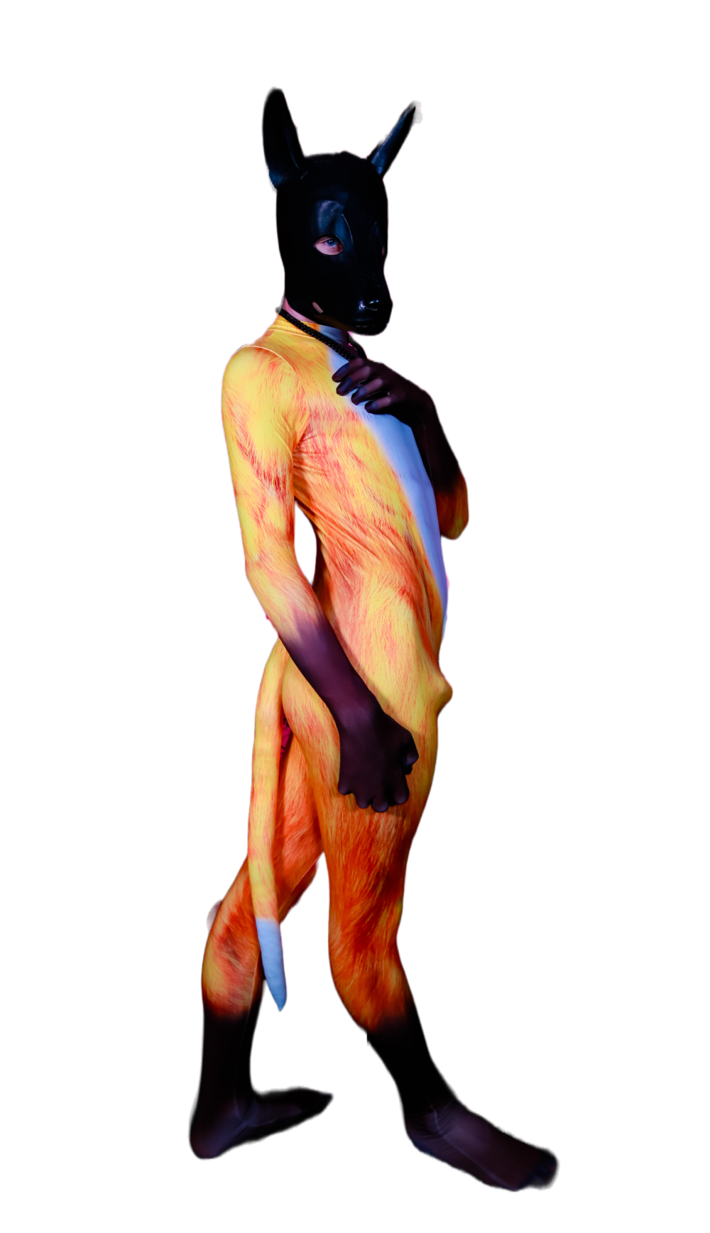 Yellow fox petsuit