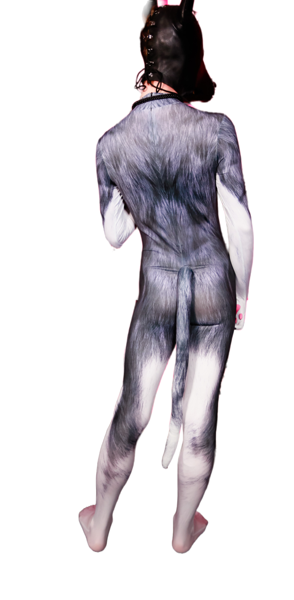 Husky petsuit