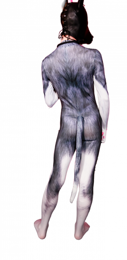 Husky petsuit