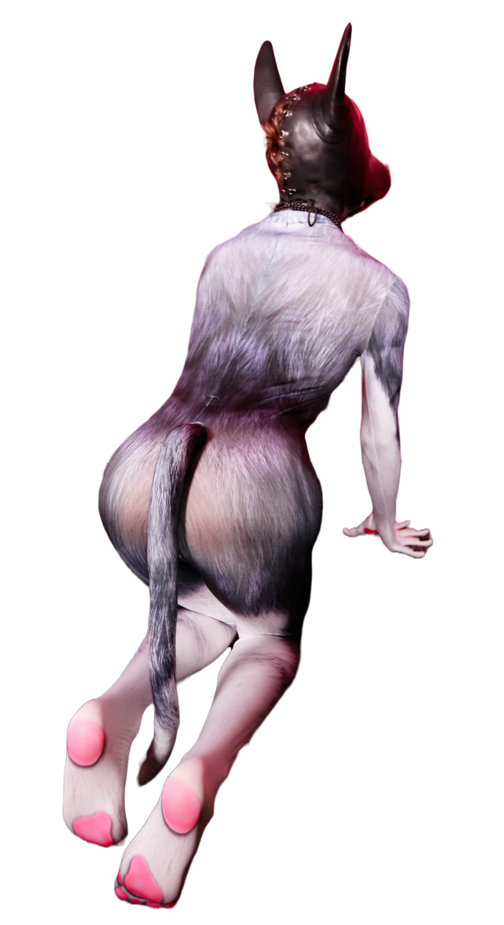 Husky petsuit