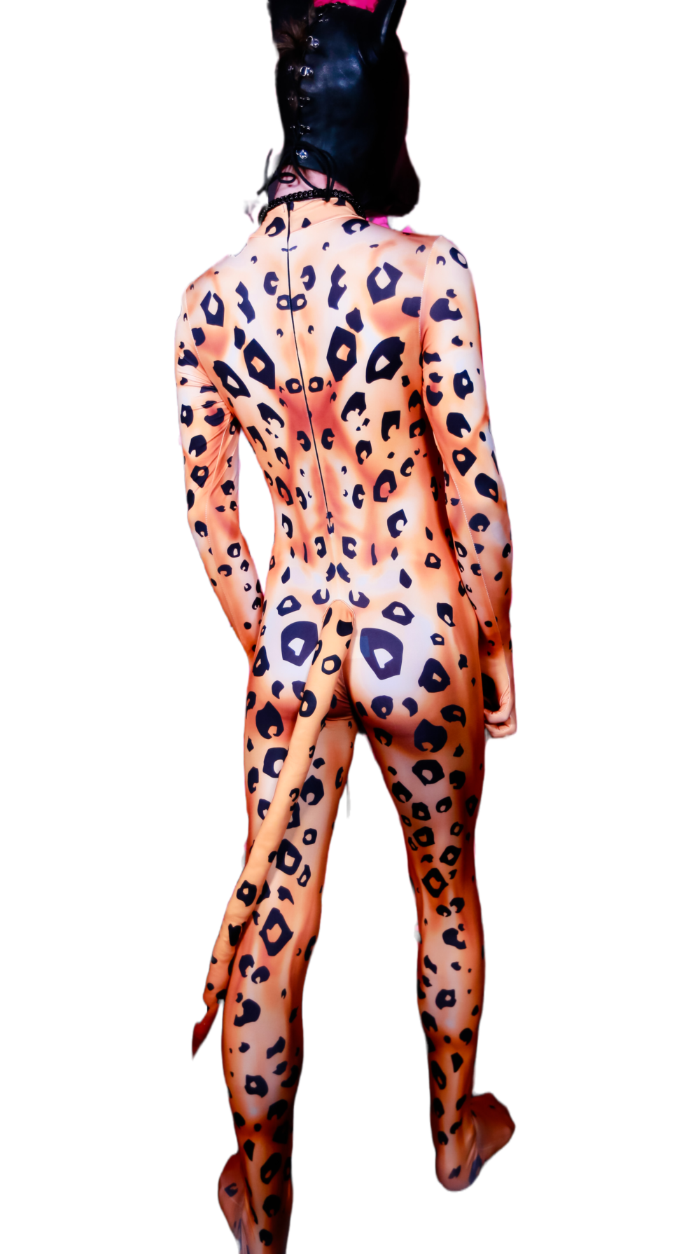 Leopard petsuit