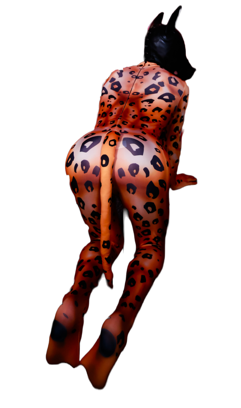 Leopard petsuit