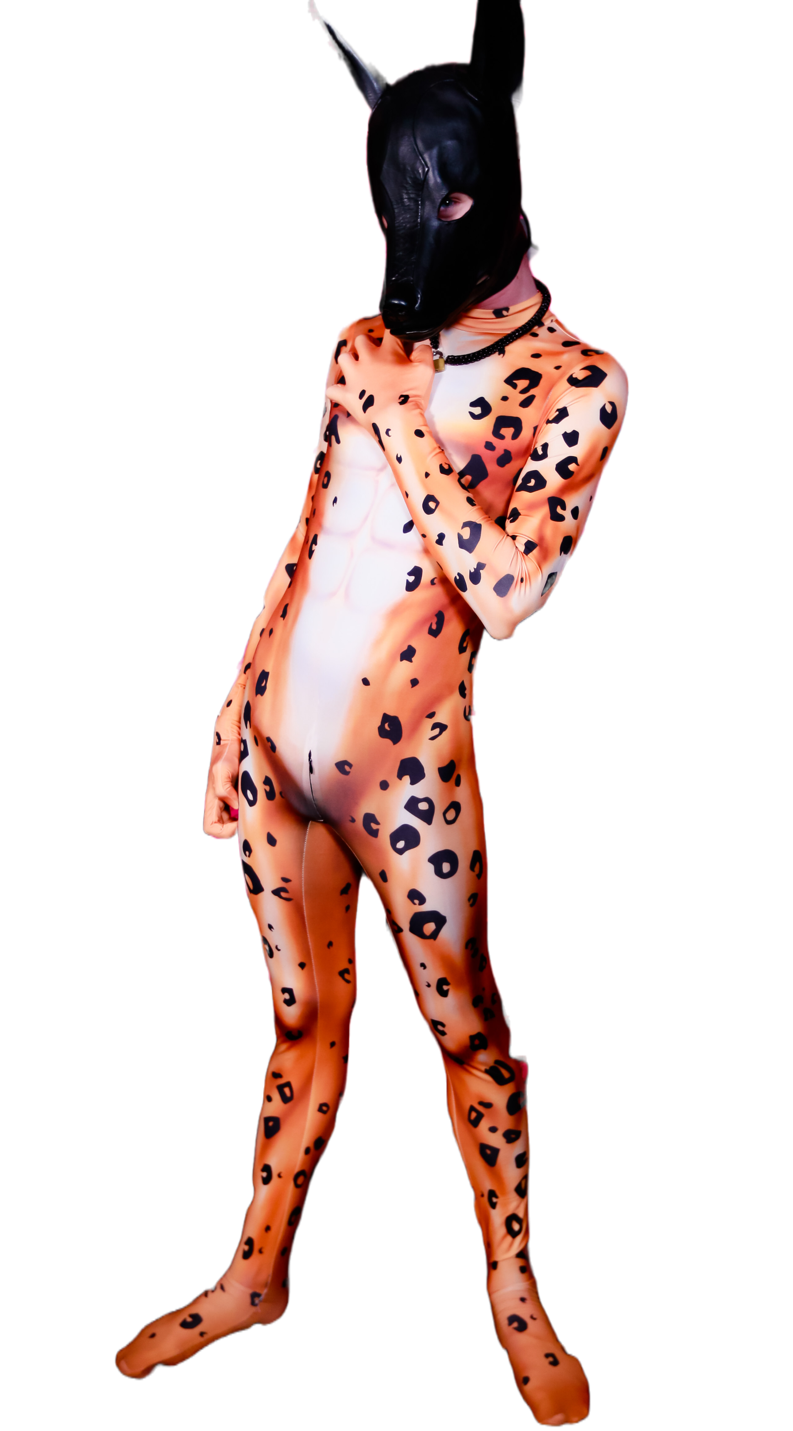 Leopard petsuit