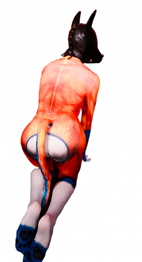 Orange Dog Petsuit
