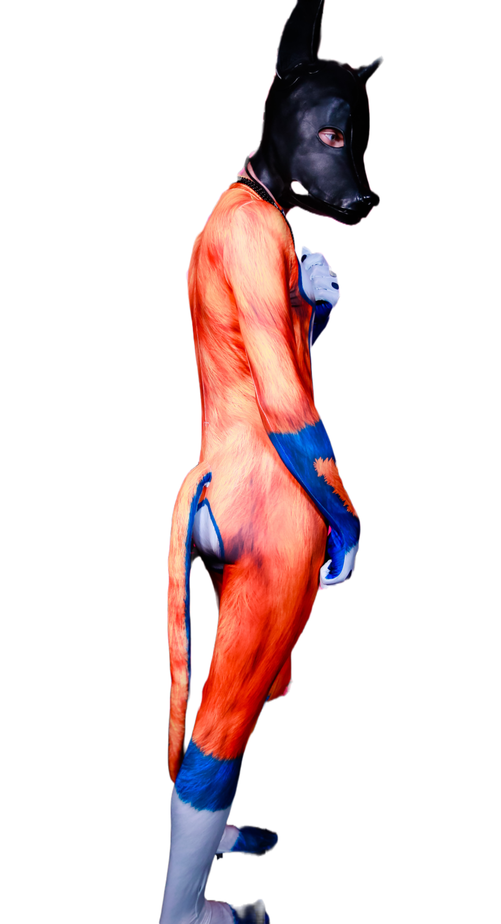 Orange Dog Petsuit