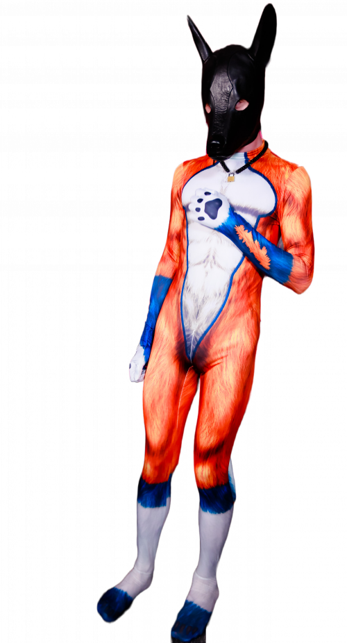 Orange Dog Petsuit