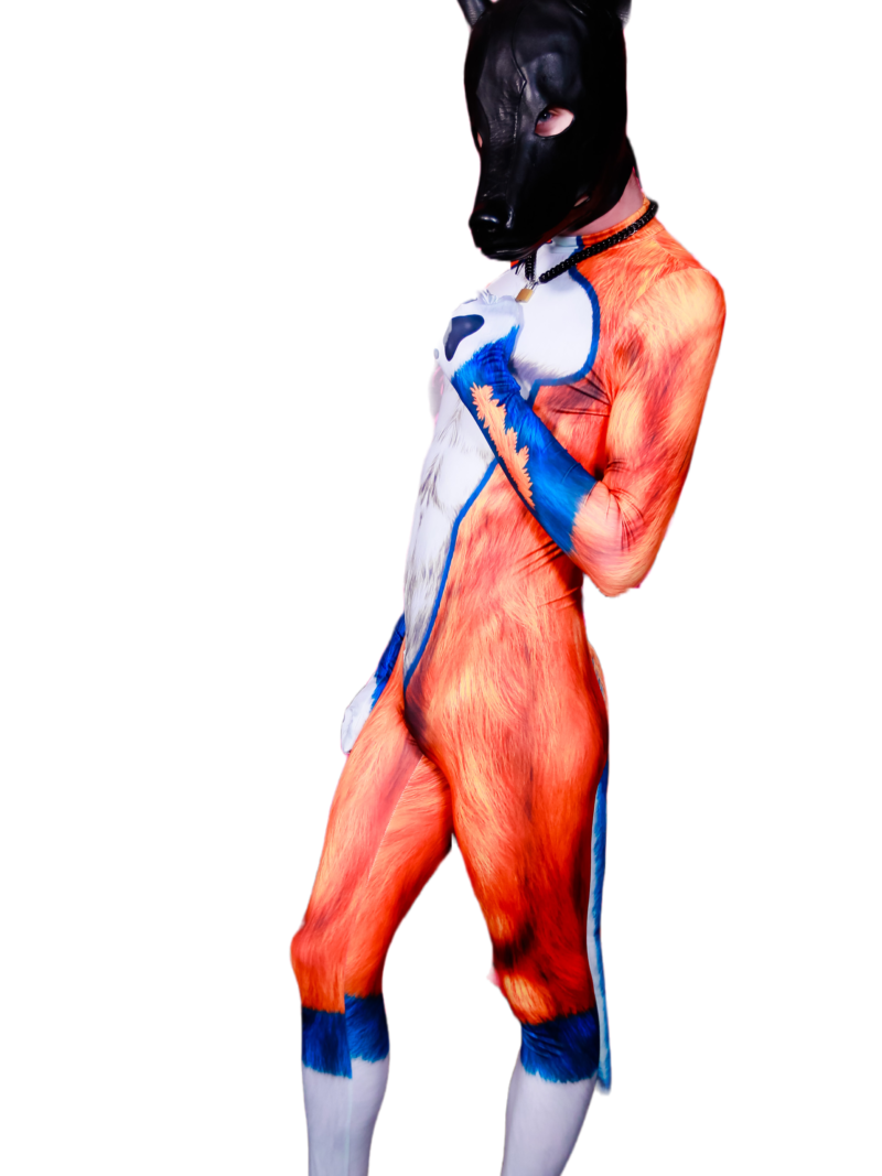 Orange Dog Petsuit
