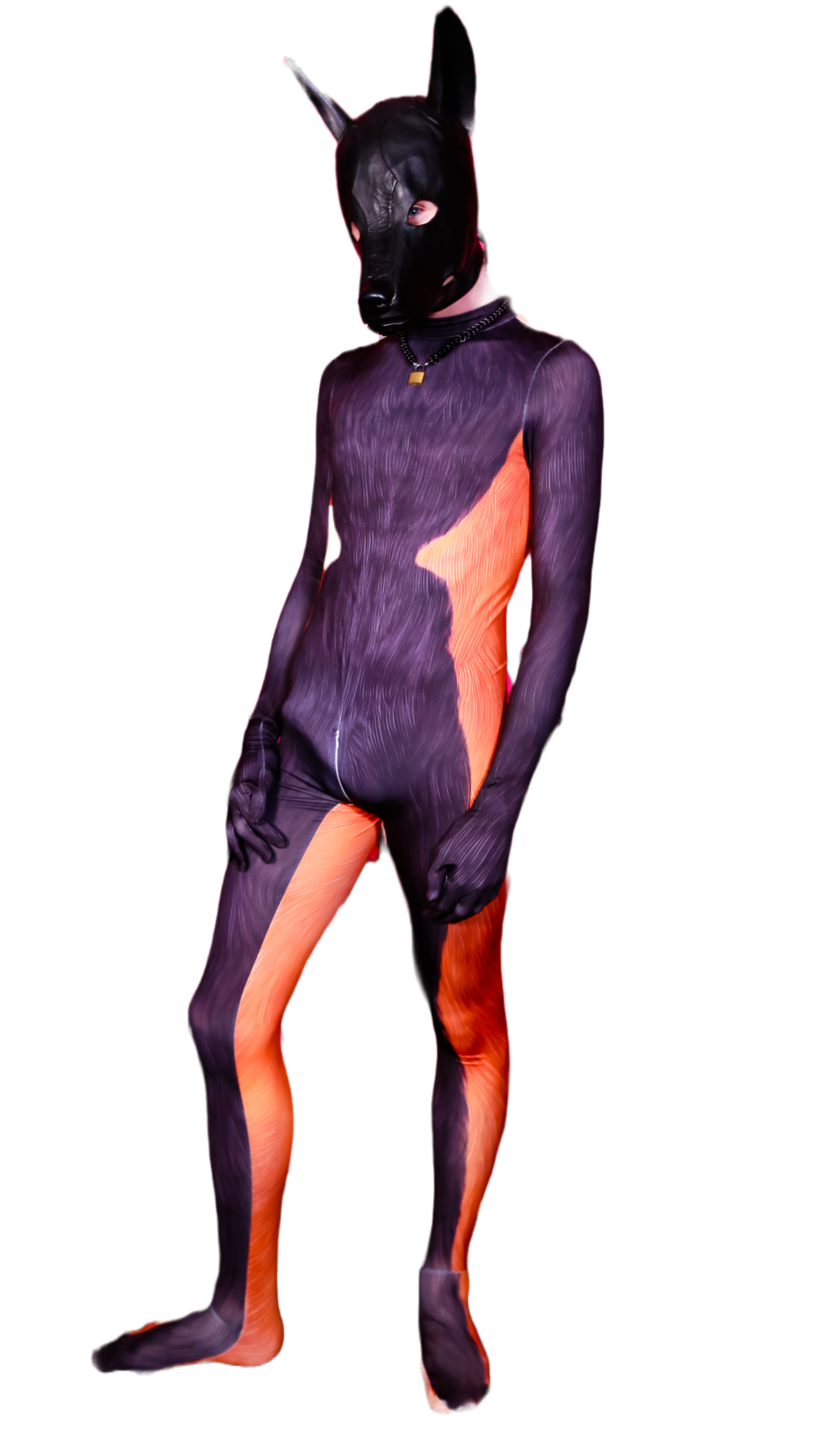 Racoon PETSUIT