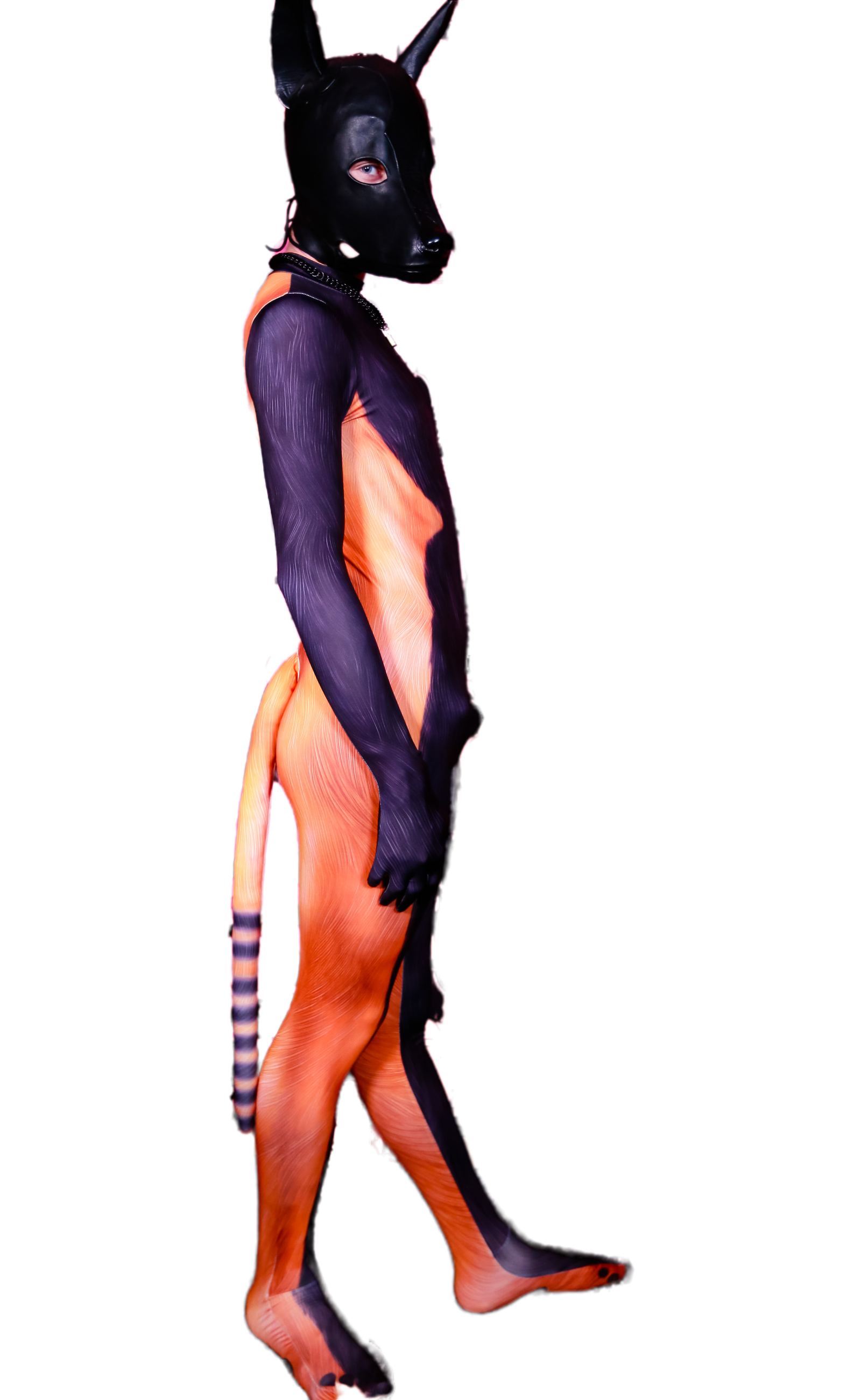Racoon PETSUIT