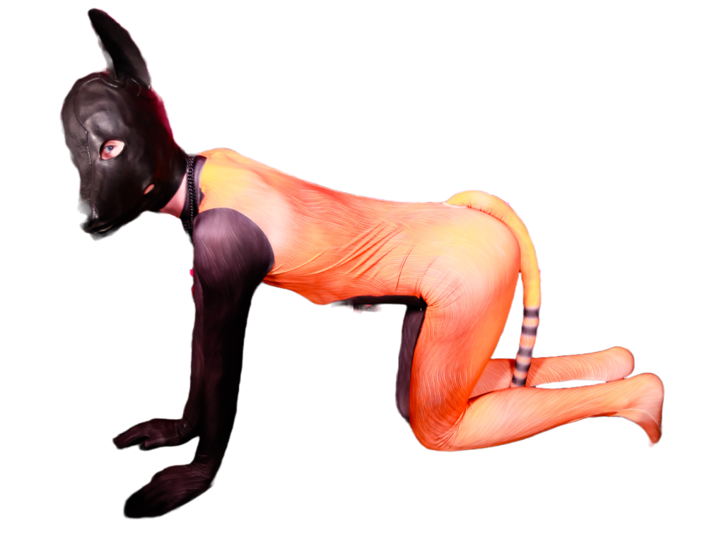 Racoon PETSUIT