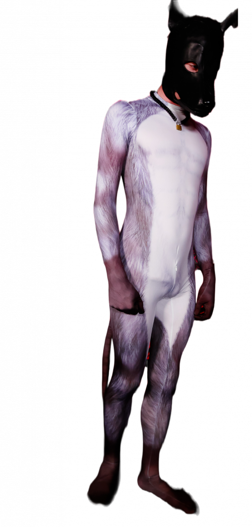 silver fox petsuit