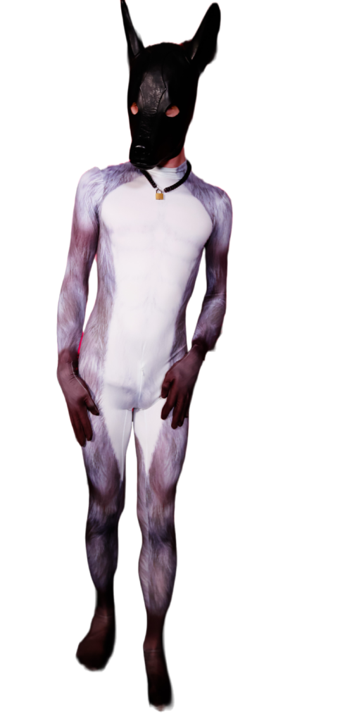 silver fox petsuit