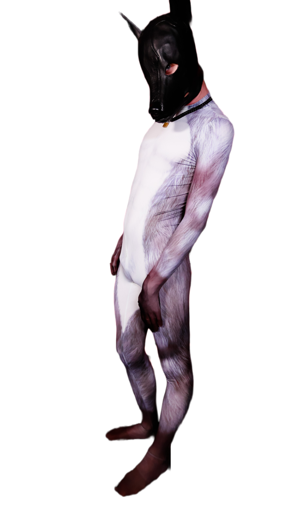 silver fox petsuit