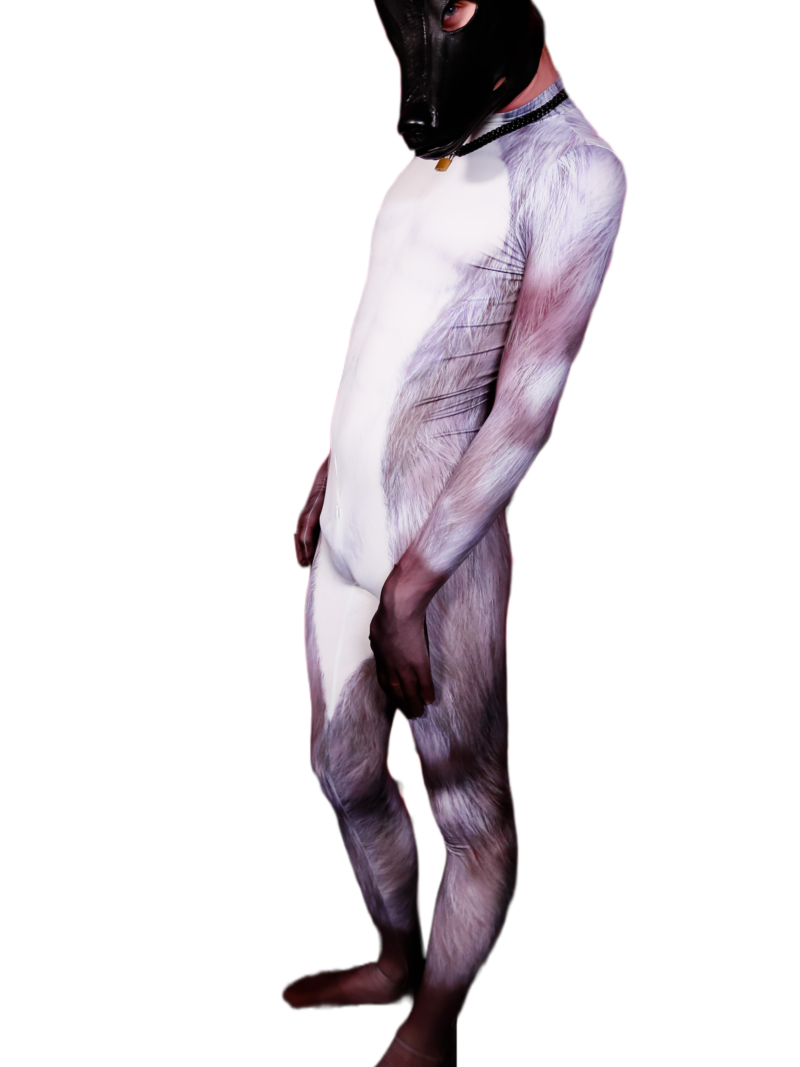 silver fox petsuit